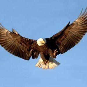 Meet your Posher, Cynthia